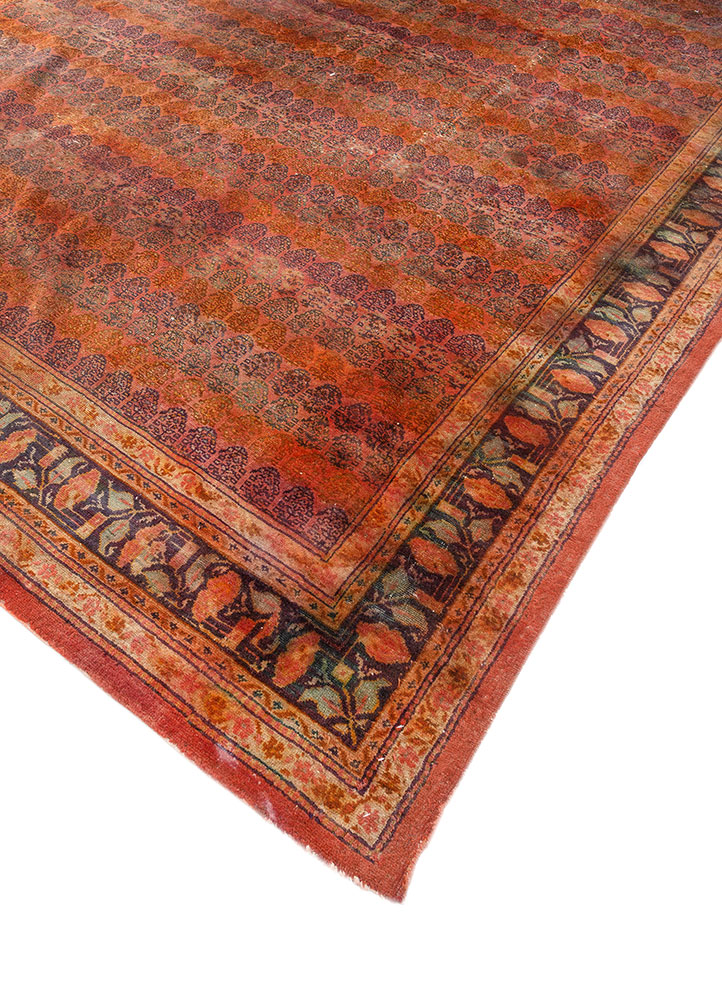 aalam red and orange wool hand knotted Rug - FloorShot