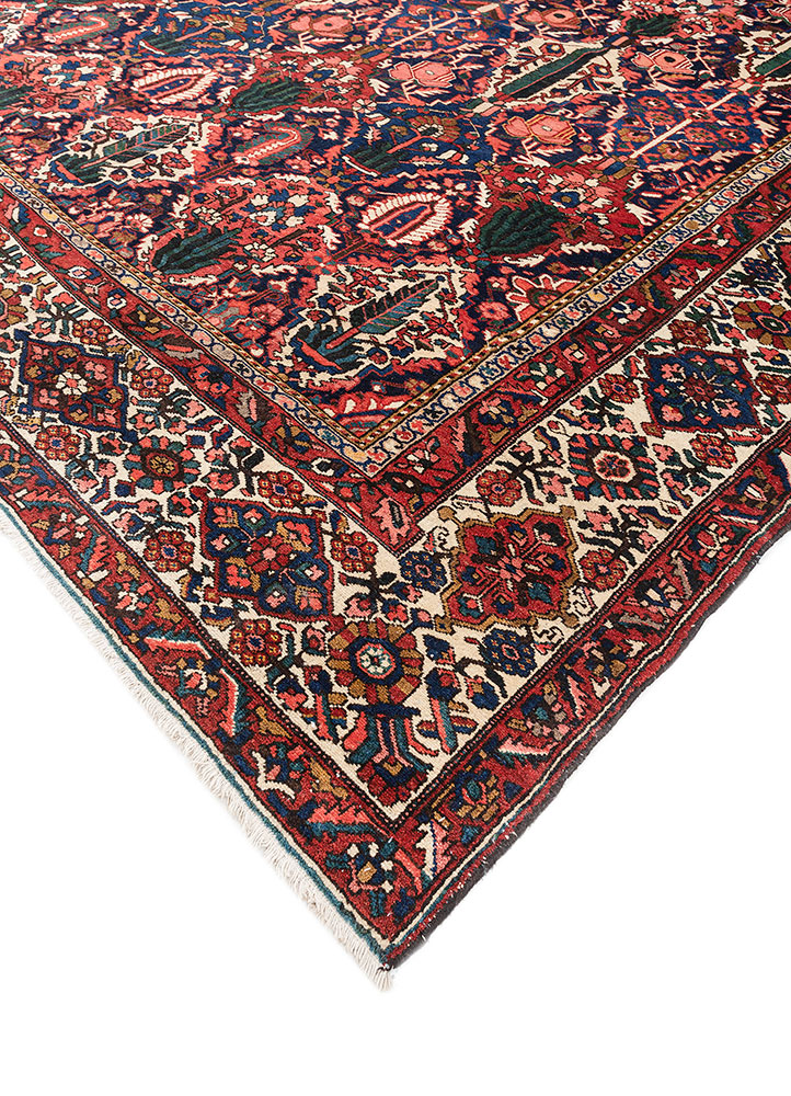 aalam red and orange wool hand knotted Rug - FloorShot