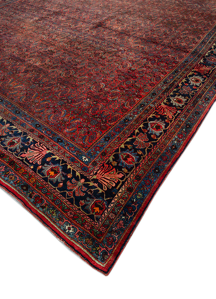 aalam blue wool hand knotted Rug - FloorShot