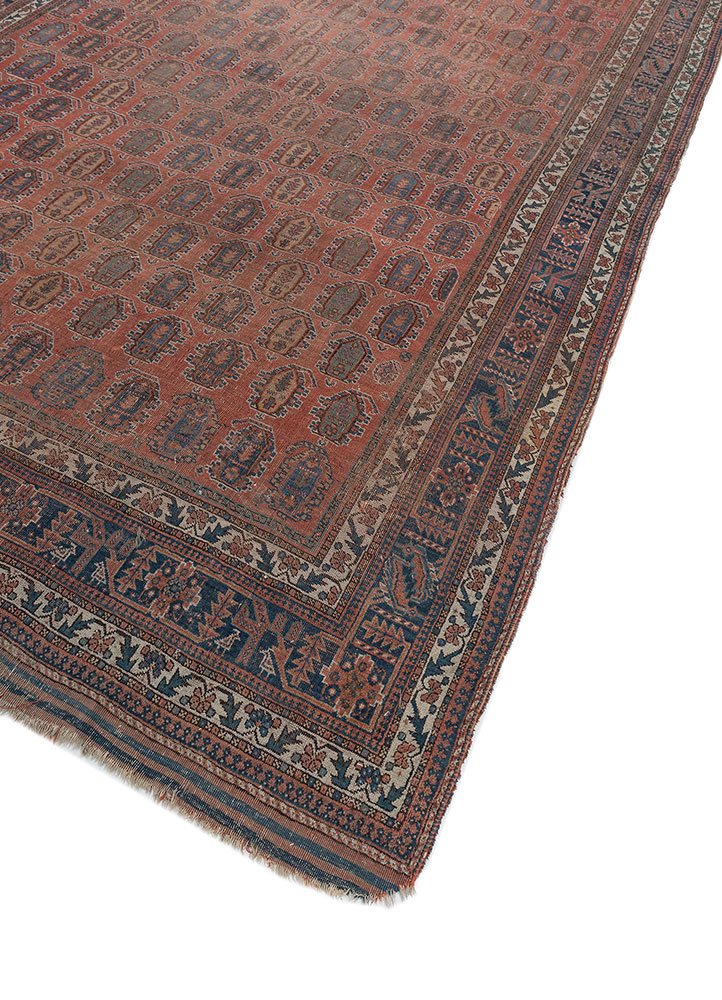 aalam red and orange wool hand knotted Rug - FloorShot