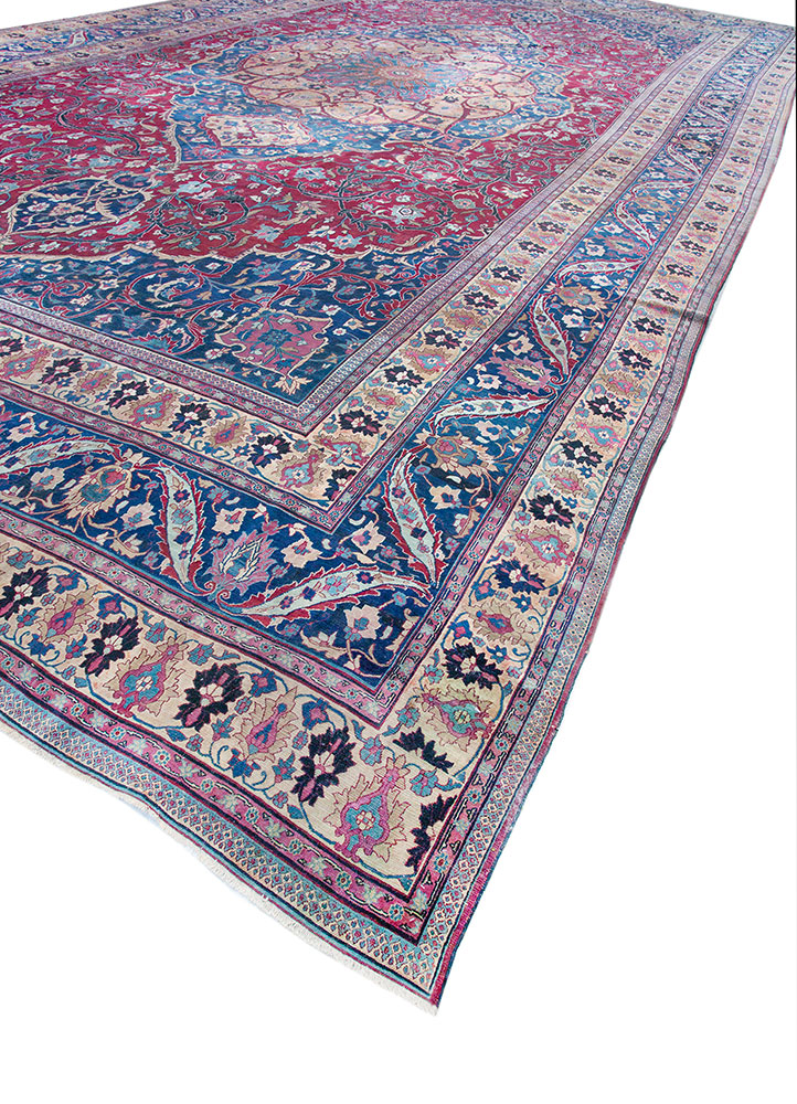 aalam gold wool hand knotted Rug - FloorShot