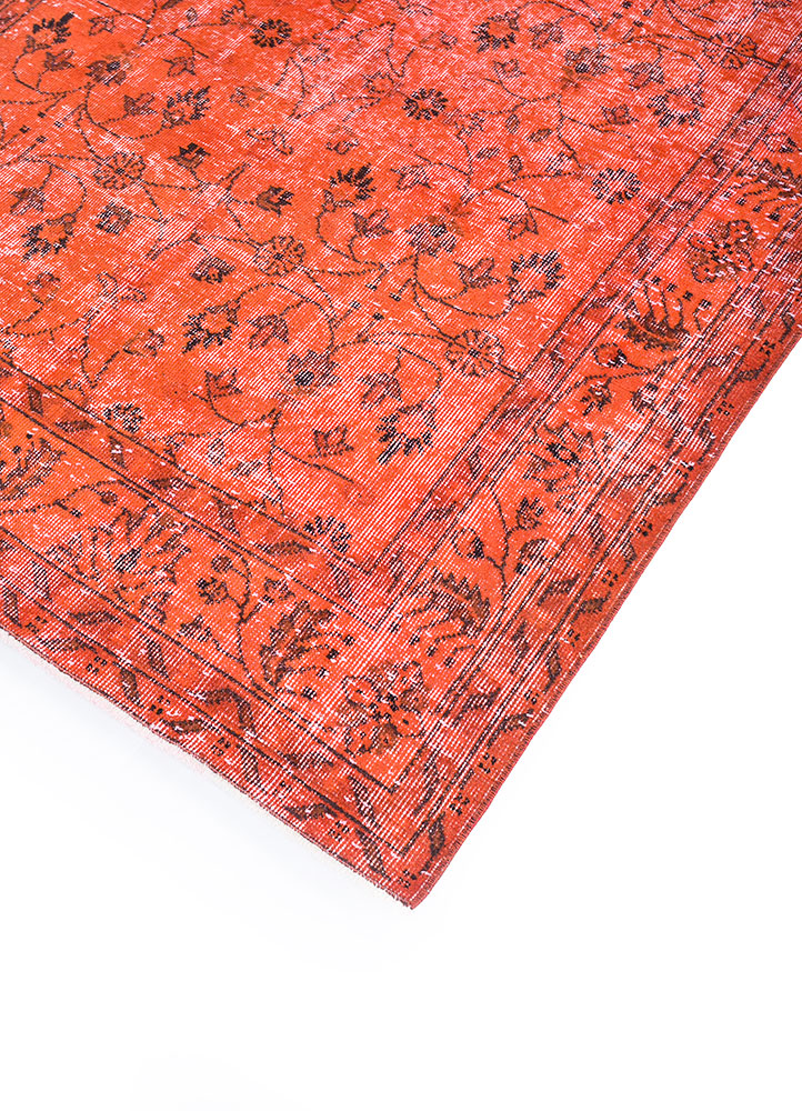 lacuna red and orange wool hand knotted Rug - FloorShot