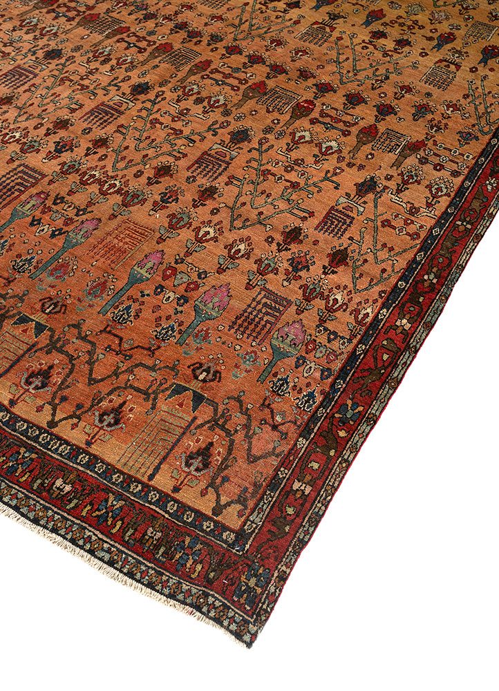 aalam red and orange wool hand knotted Rug - FloorShot