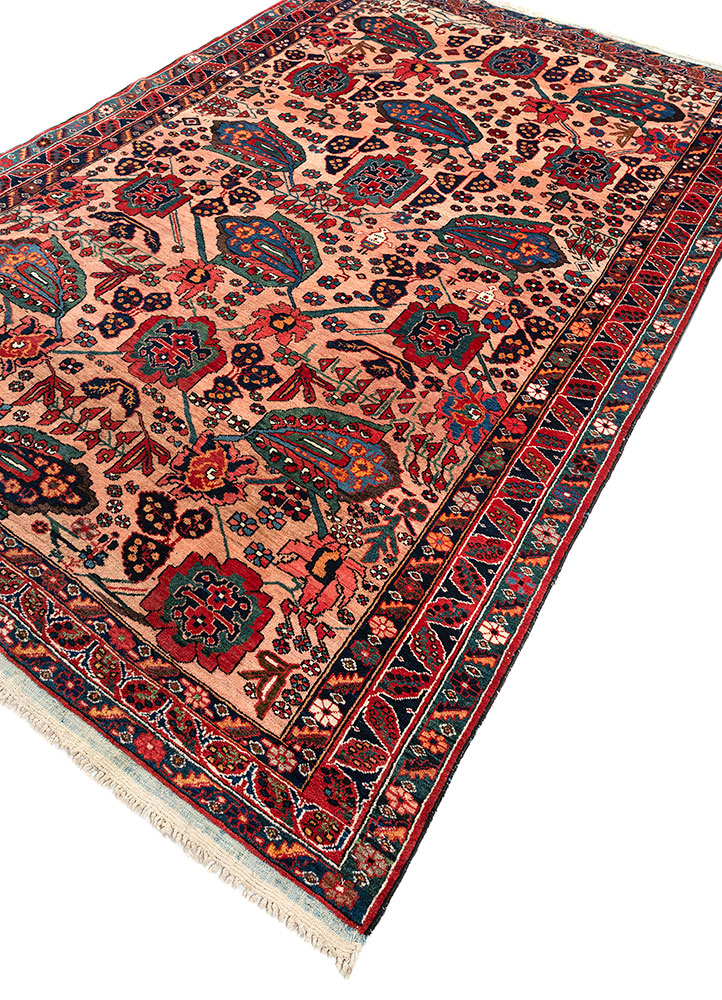aalam red and orange wool hand knotted Rug - FloorShot