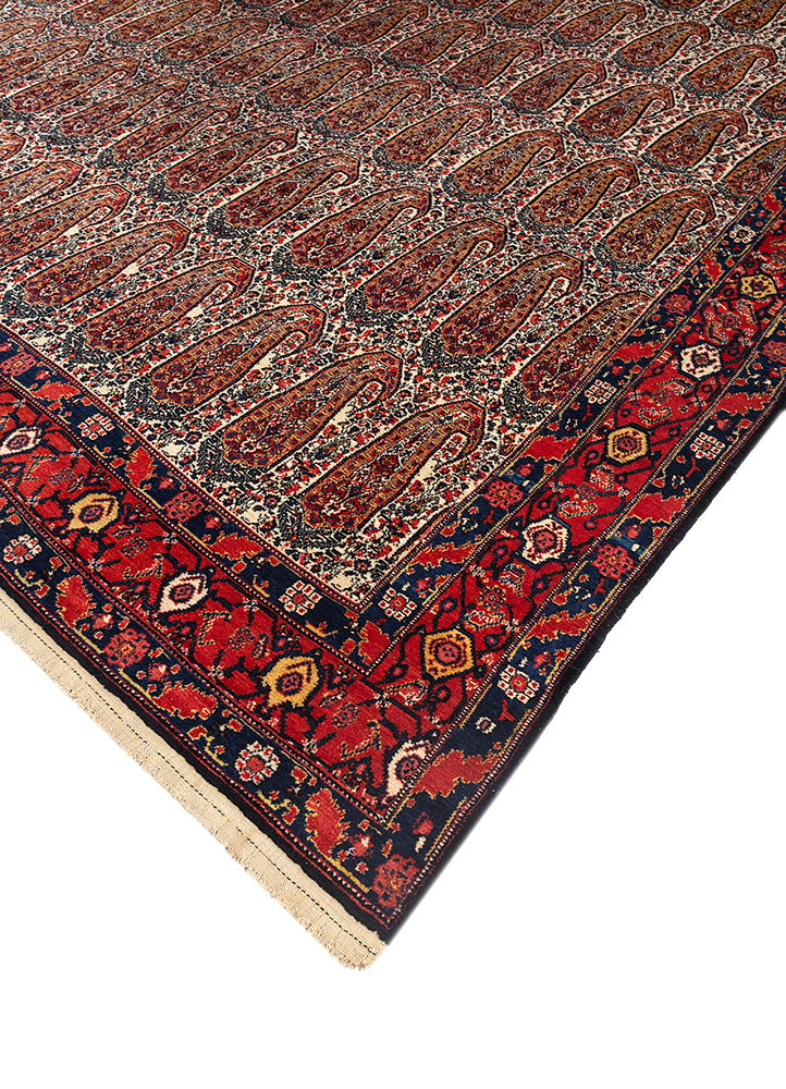 aalam ivory wool hand knotted Rug - FloorShot