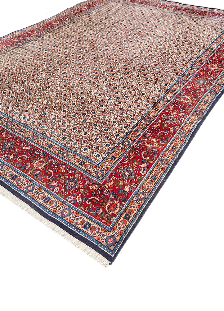 aalam ivory wool hand knotted Rug - FloorShot