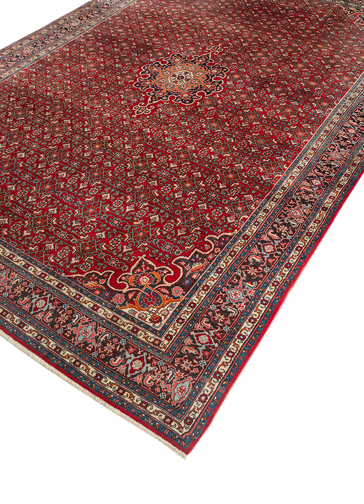 aalam red and orange wool hand knotted Rug - FloorShot