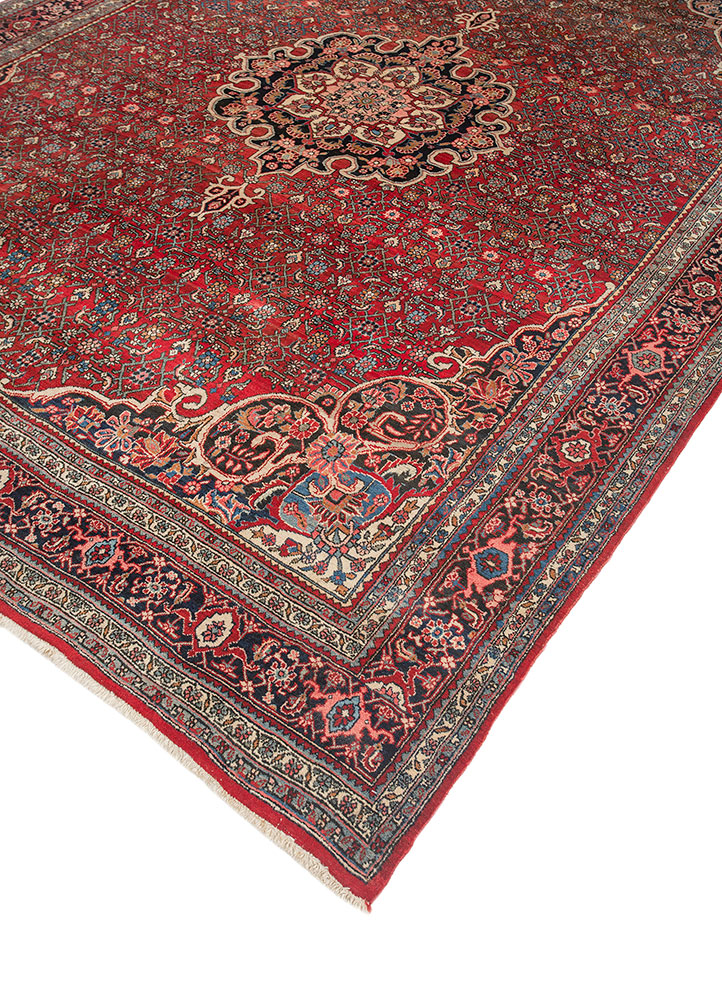 aalam red and orange wool hand knotted Rug - FloorShot