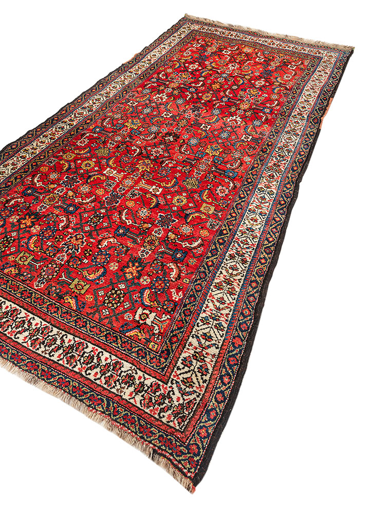 aalam pink and purple wool hand knotted Rug - FloorShot