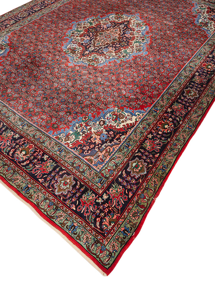 aalam red and orange wool hand knotted Rug - FloorShot