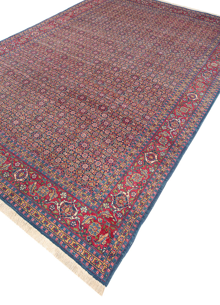 aalam blue wool hand knotted Rug - FloorShot