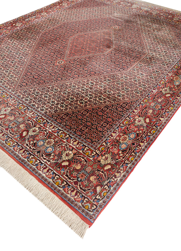 aalam ivory wool hand knotted Rug - FloorShot