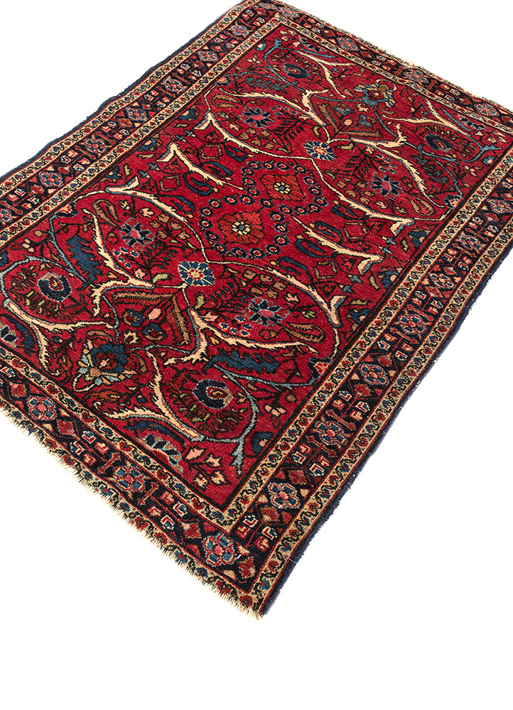 aalam red and orange wool hand knotted Rug - FloorShot