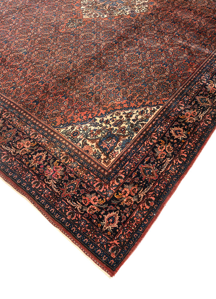 aalam red and orange wool hand knotted Rug - FloorShot