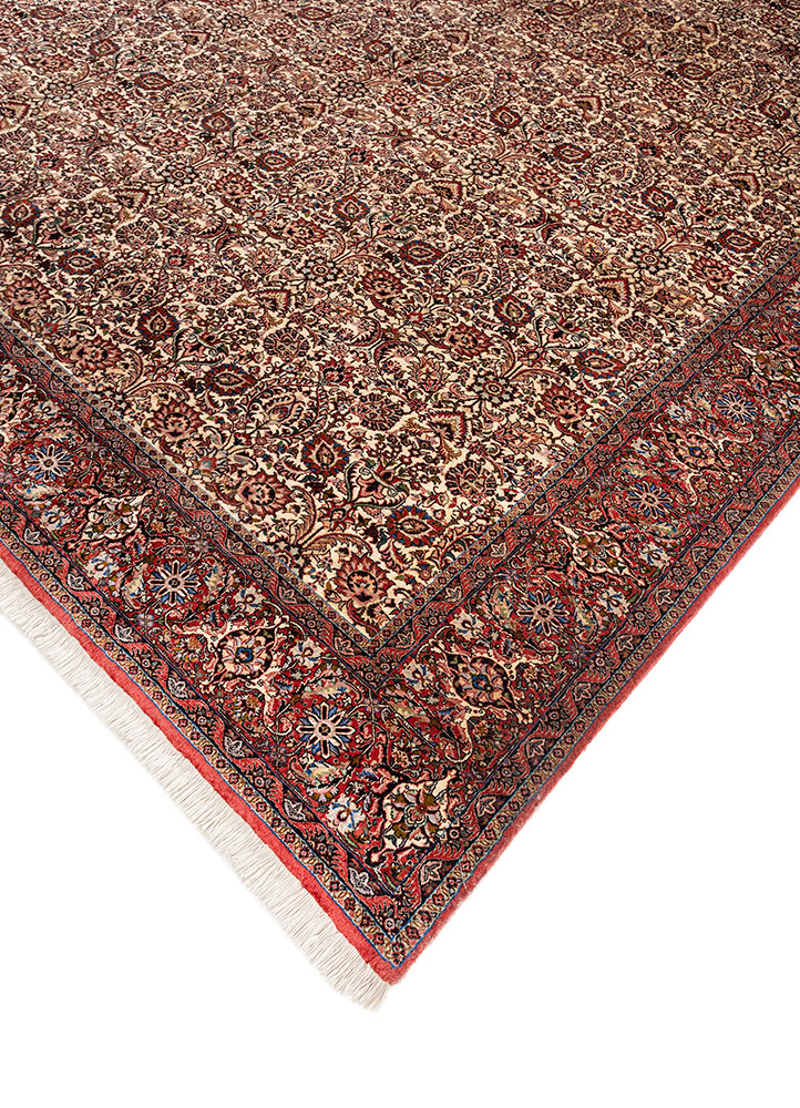 aalam ivory wool hand knotted Rug - FloorShot