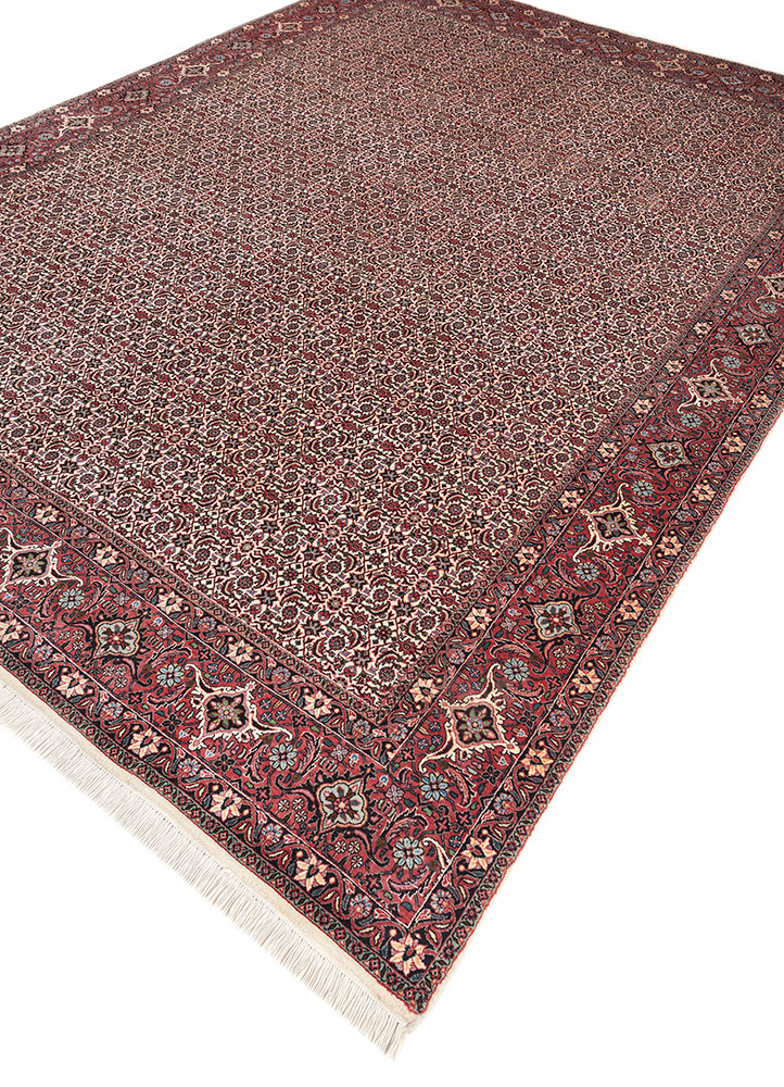 aalam ivory wool hand knotted Rug - FloorShot