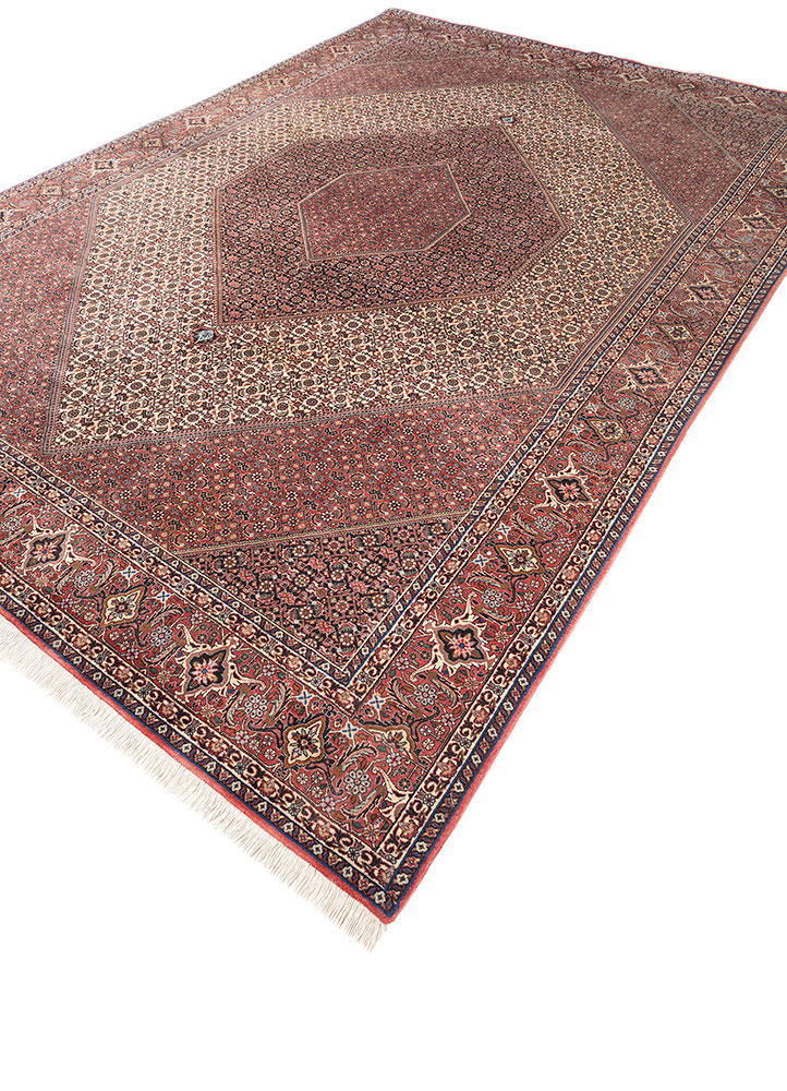 aalam ivory wool hand knotted Rug - FloorShot