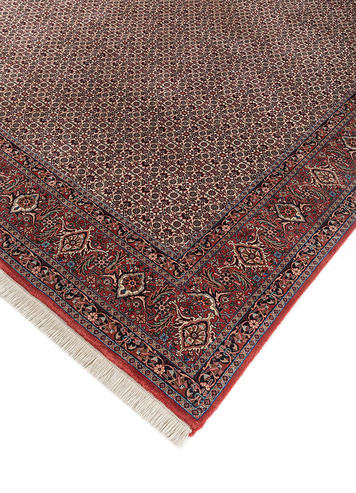 aalam ivory wool hand knotted Rug - FloorShot