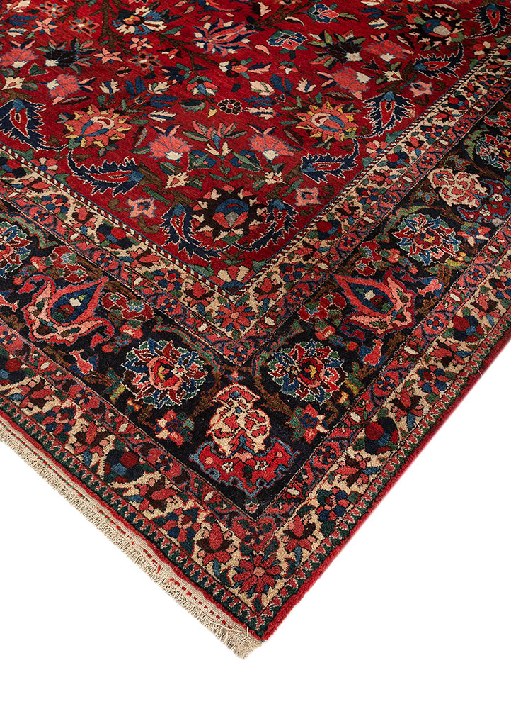 aalam red and orange wool hand knotted Rug - FloorShot