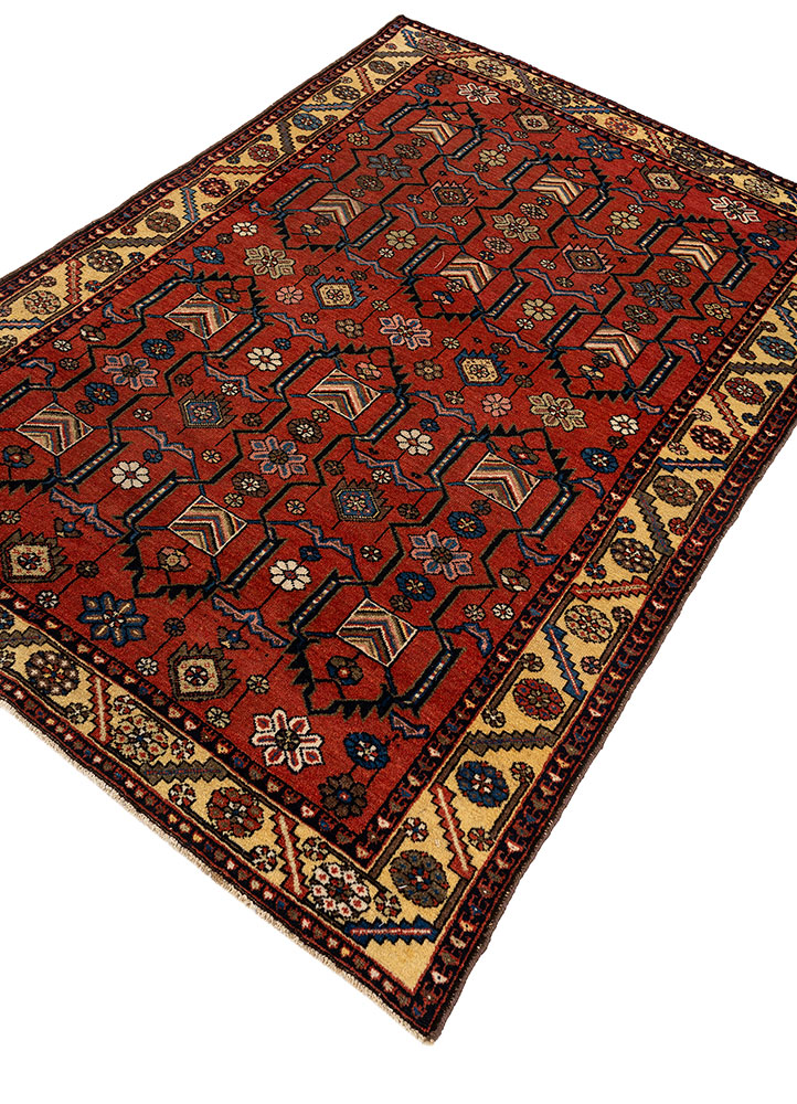 aalam red and orange wool hand knotted Rug - FloorShot