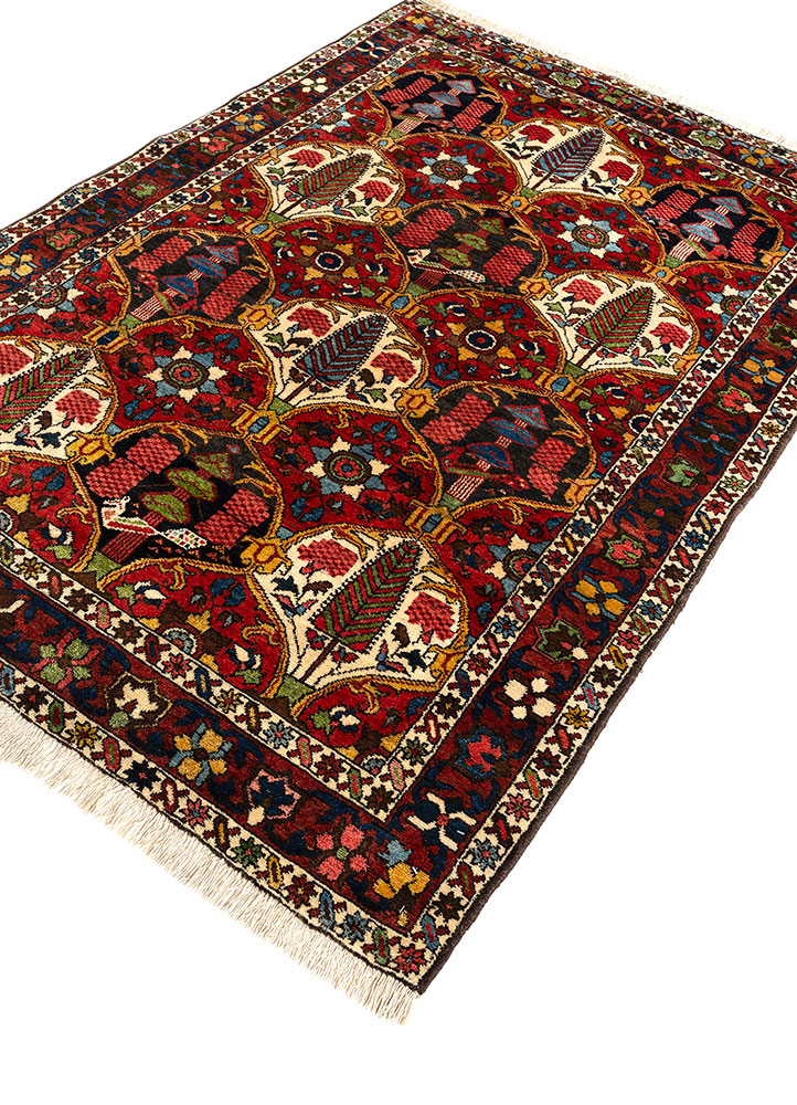 aalam red and orange wool hand knotted Rug - FloorShot