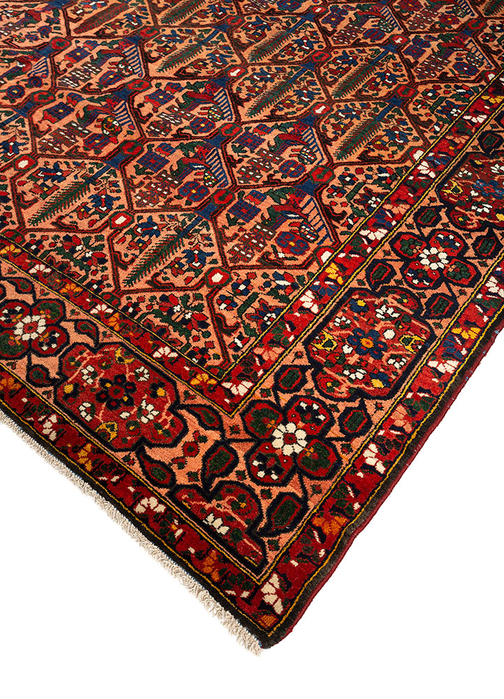 aalam red and orange wool hand knotted Rug - FloorShot