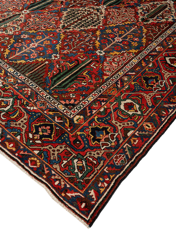 aalam red and orange wool hand knotted Rug - FloorShot