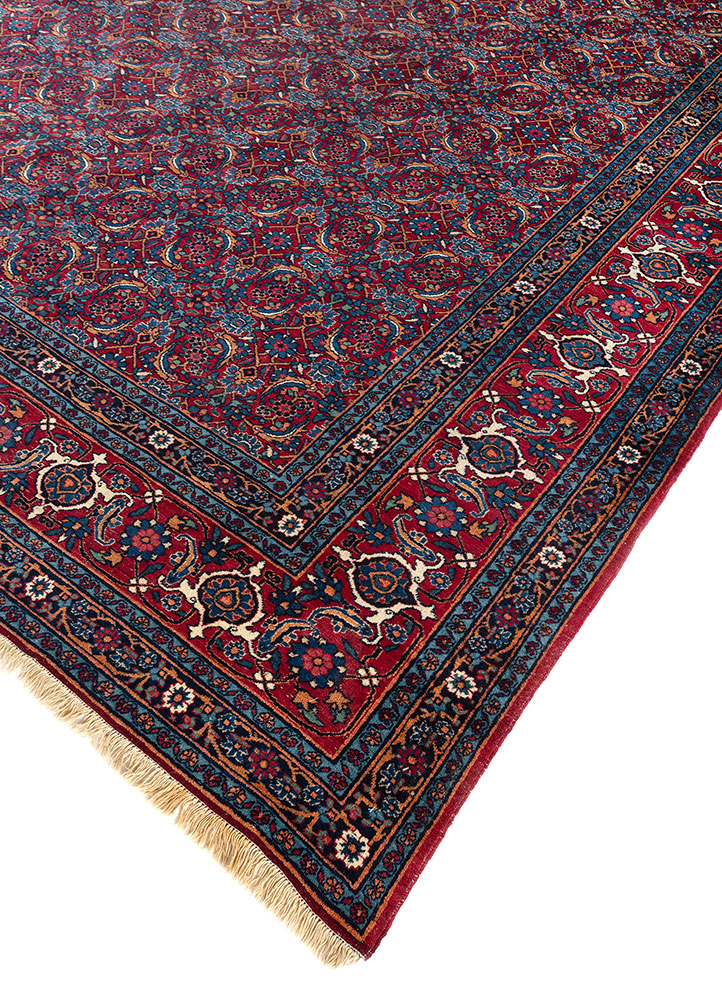 aalam red and orange wool hand knotted Rug - FloorShot