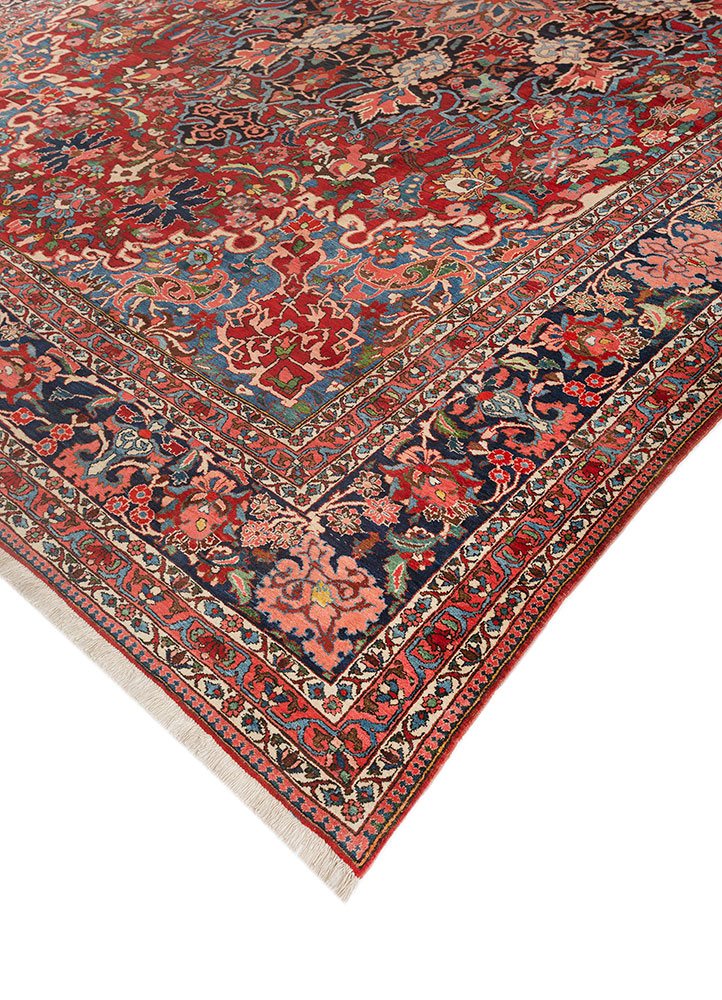 aalam red and orange wool hand knotted Rug - FloorShot