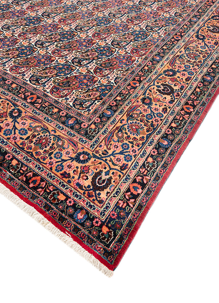 aalam red and orange wool hand knotted Rug - FloorShot