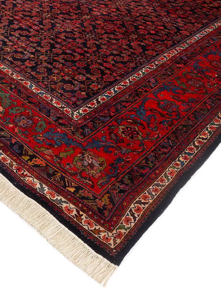 kiaan blue wool hand knotted Rug - FloorShot