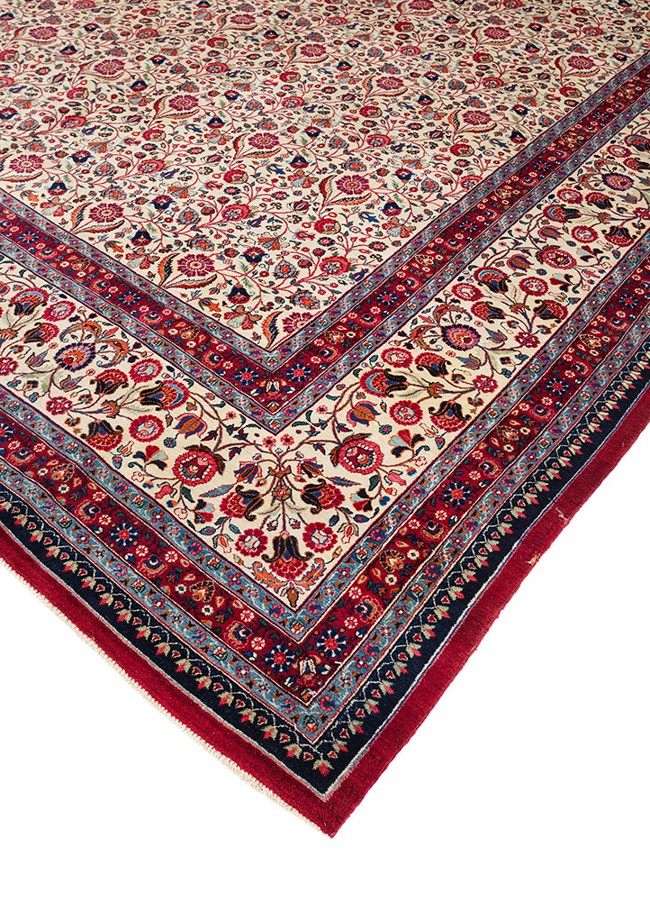 aalam ivory wool hand knotted Rug - FloorShot