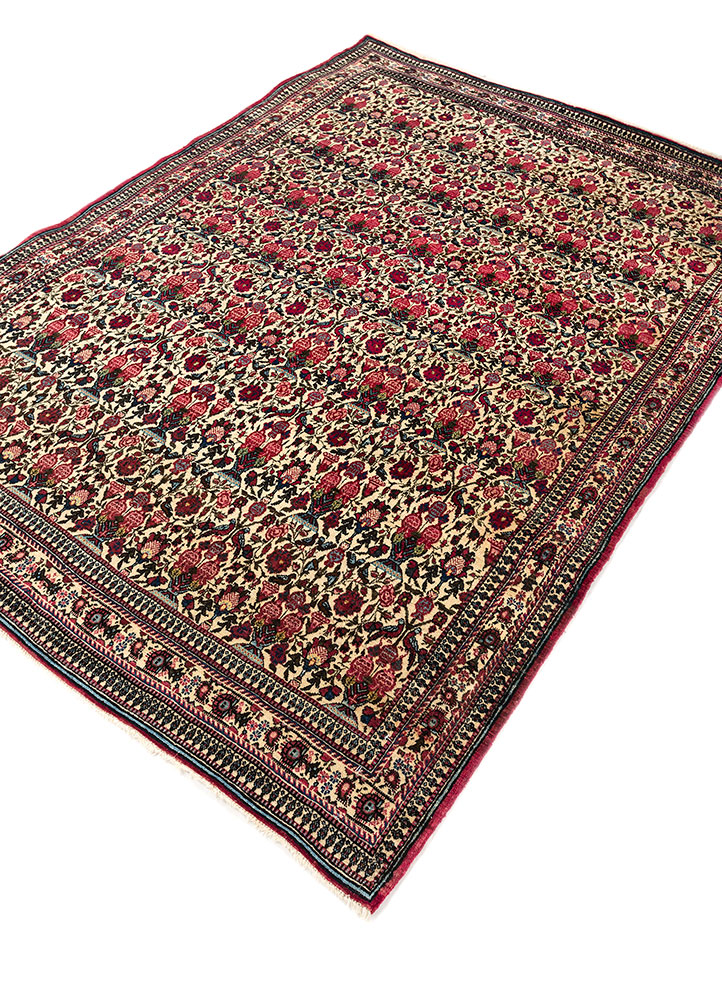 aalam ivory wool hand knotted Rug - FloorShot