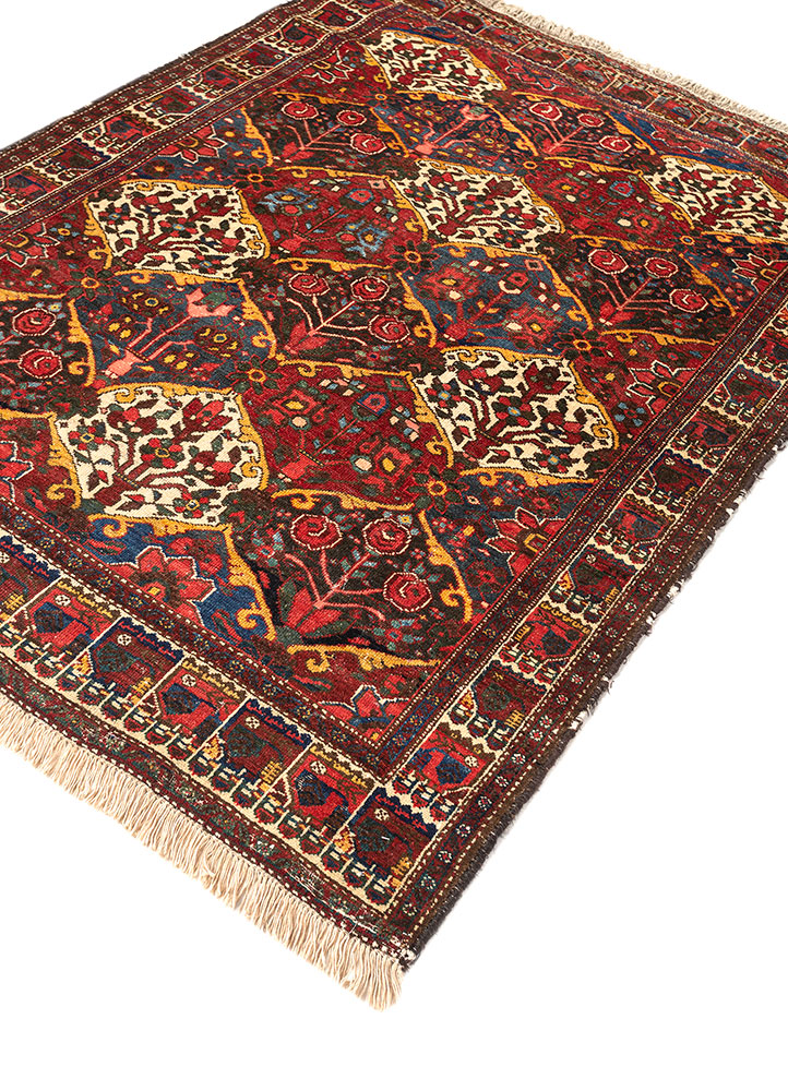 aalam red and orange wool hand knotted Rug - FloorShot