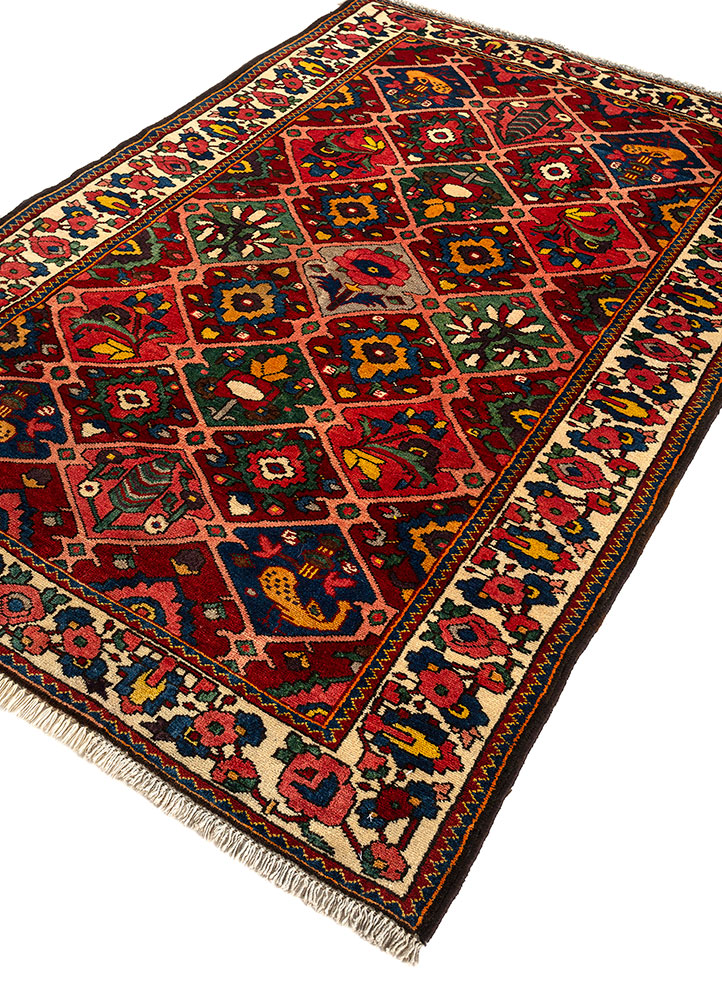aalam red and orange wool hand knotted Rug - FloorShot