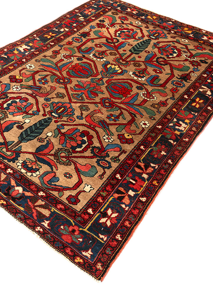 aalam beige and brown wool hand knotted Rug - FloorShot