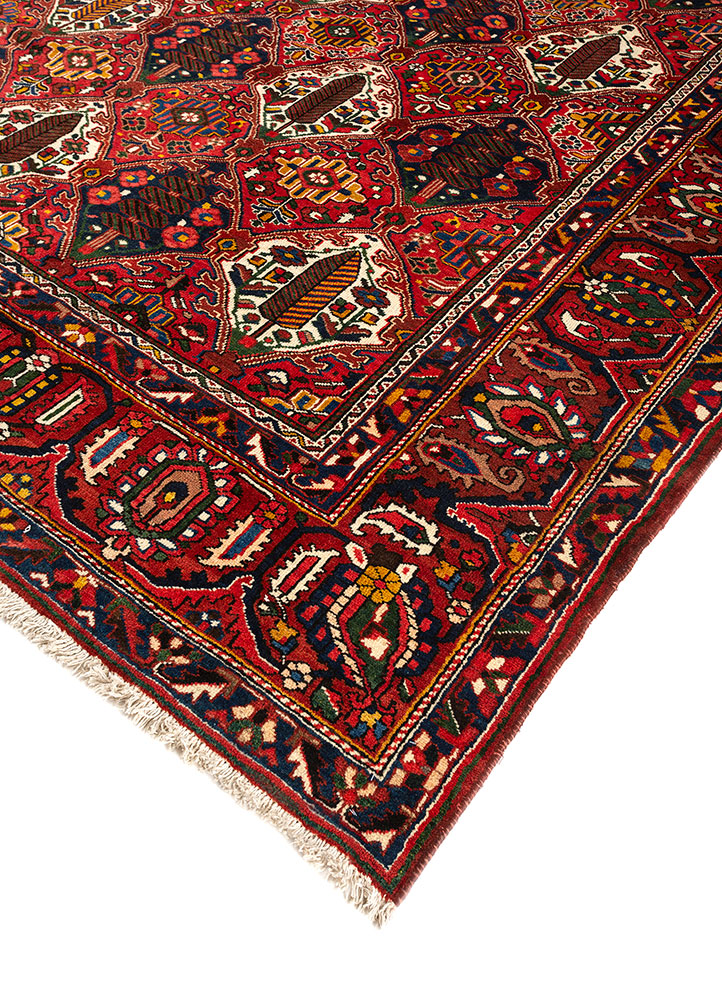 aalam red and orange wool hand knotted Rug - FloorShot