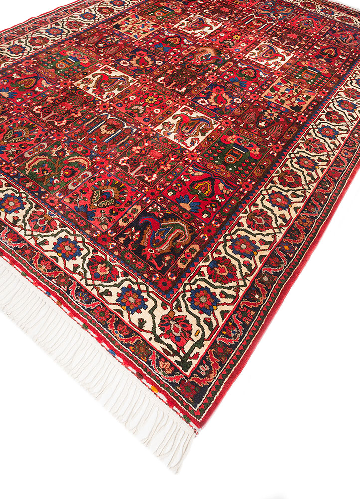 aalam red and orange wool hand knotted Rug - FloorShot