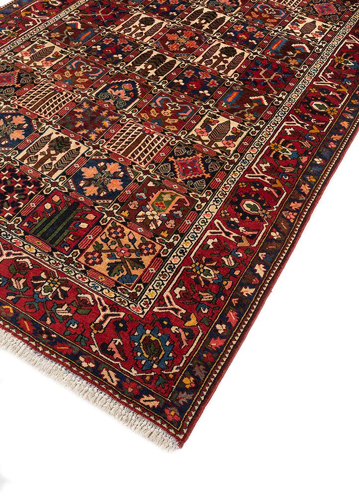 aalam red and orange wool hand knotted Rug - FloorShot