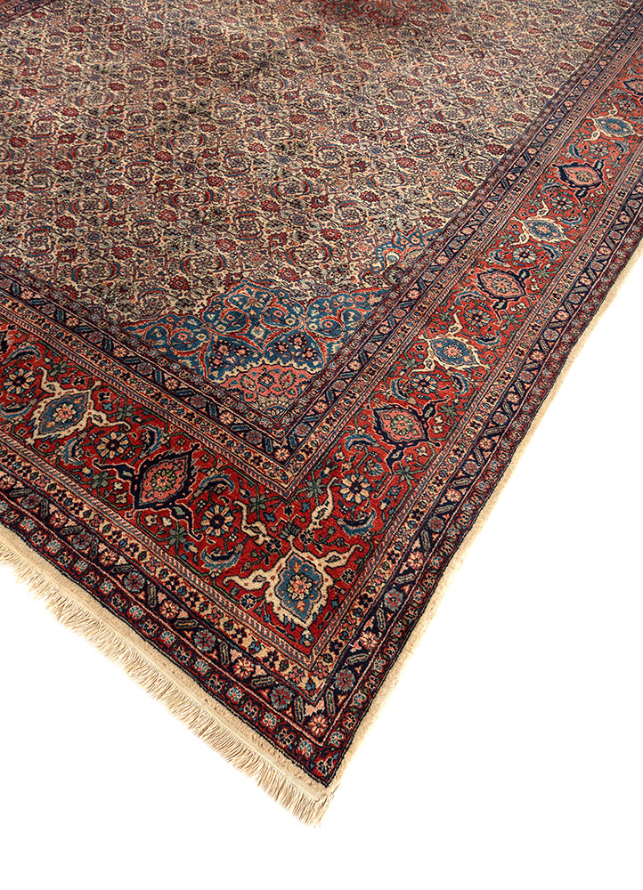 aalam gold wool hand knotted Rug - FloorShot