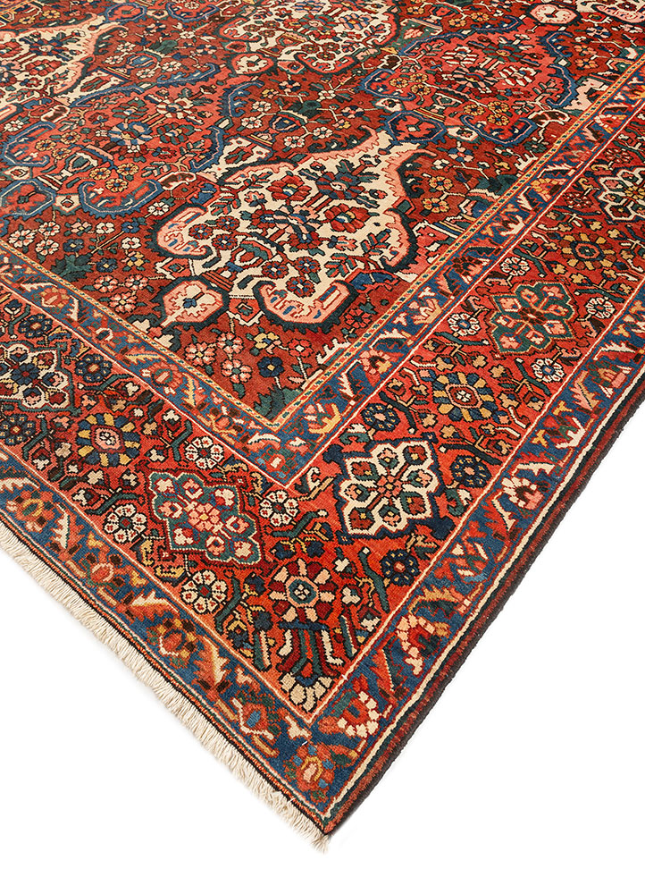 aalam ivory wool hand knotted Rug - FloorShot