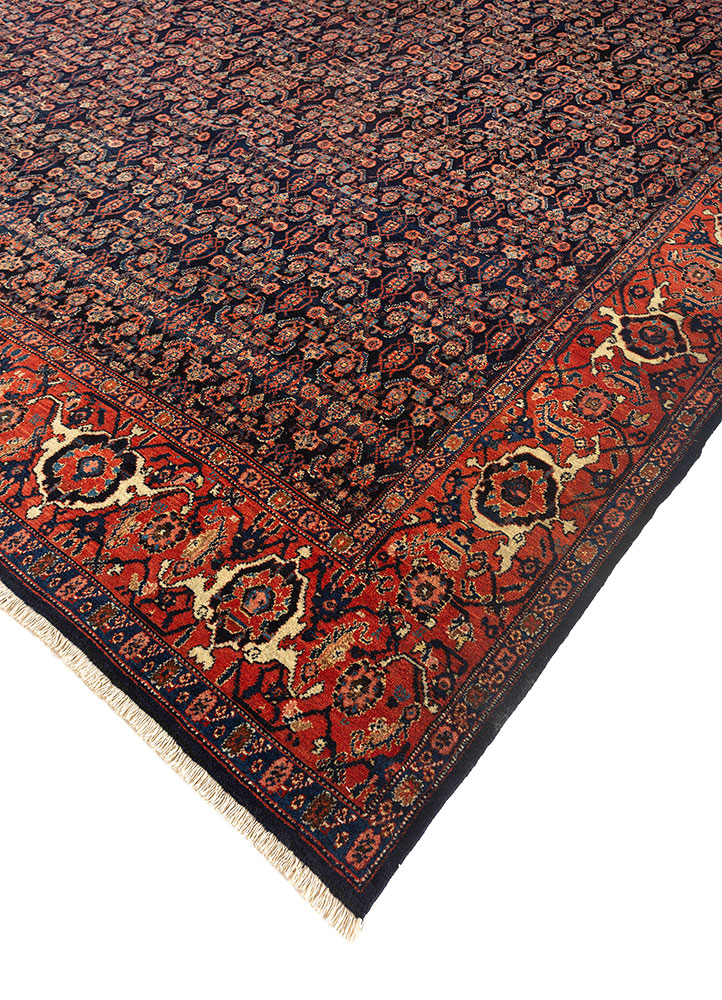 aalam blue wool hand knotted Rug - FloorShot