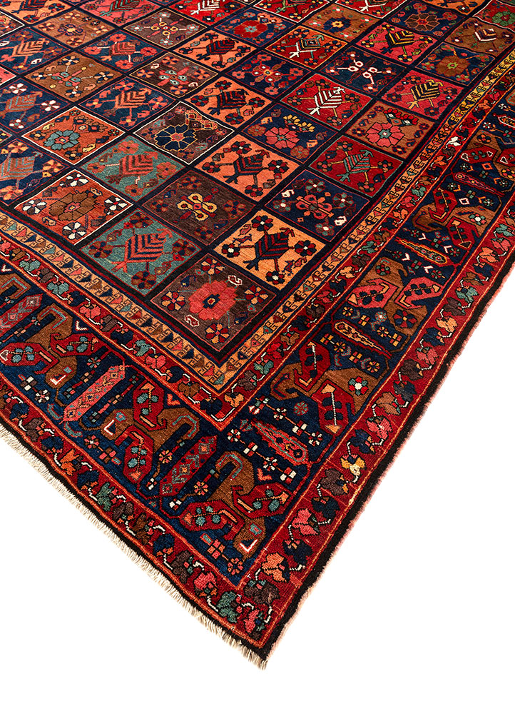 aalam red and orange wool hand knotted Rug - FloorShot