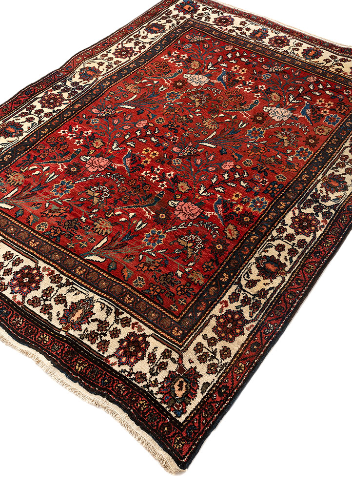 aalam red and orange wool hand knotted Rug - FloorShot