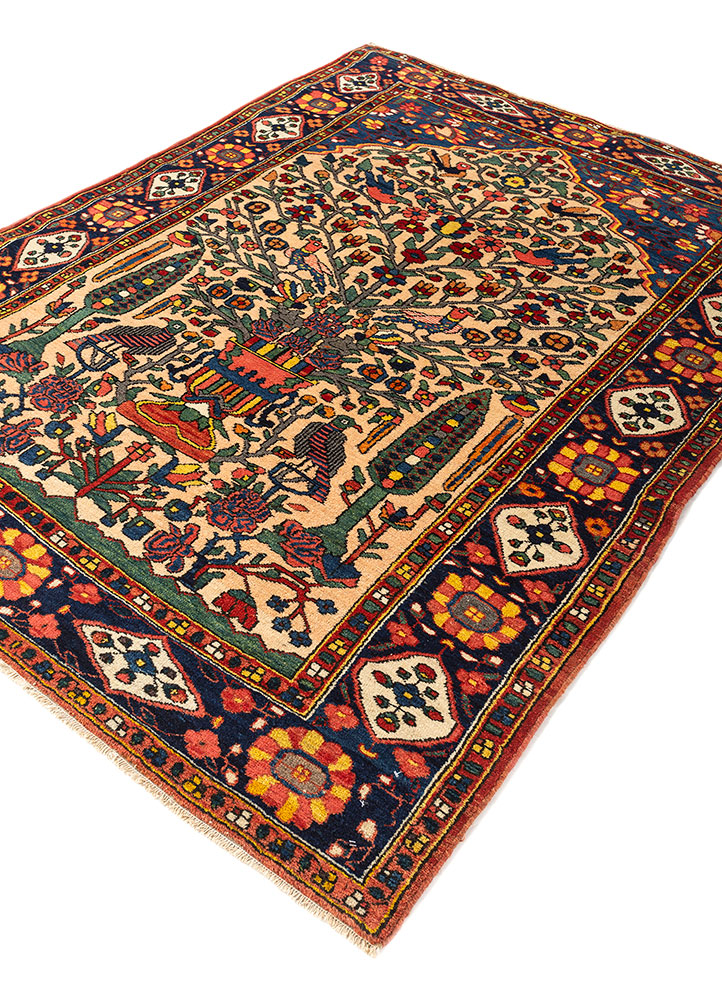 aalam red and orange wool hand knotted Rug - FloorShot