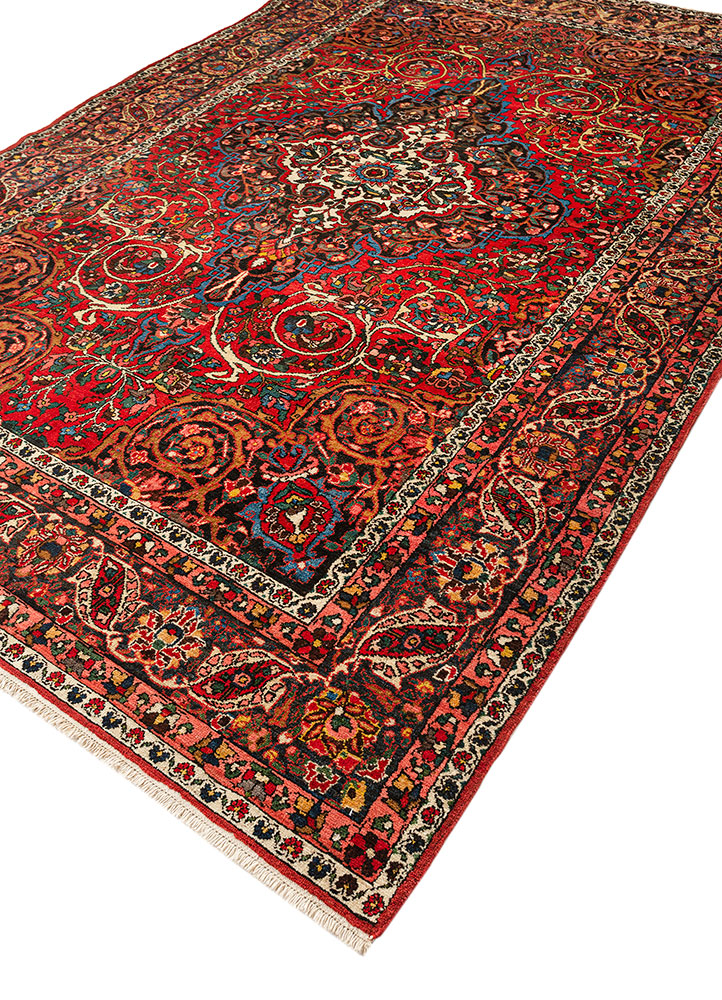 aalam red and orange wool hand knotted Rug - FloorShot