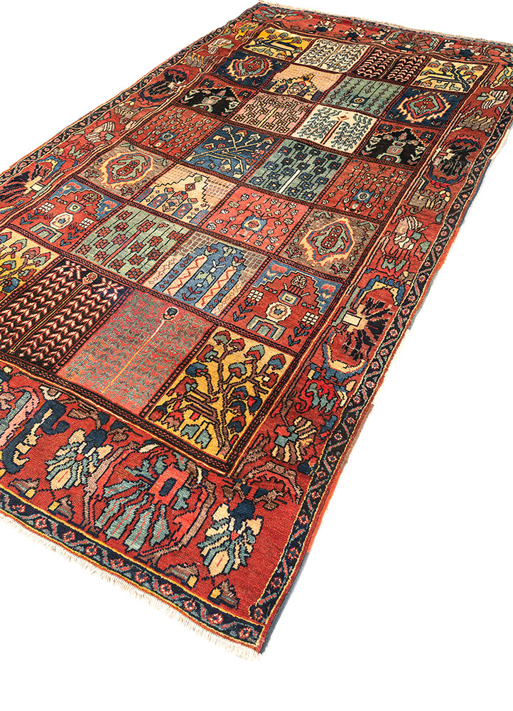 aalam red and orange wool hand knotted Rug - FloorShot