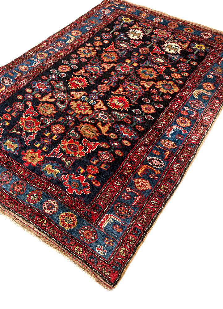 aalam blue wool hand knotted Rug - FloorShot