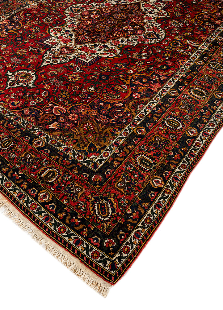 aalam red and orange wool hand knotted Rug - FloorShot