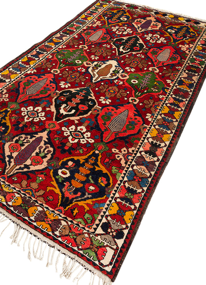 aalam red and orange wool hand knotted Rug - FloorShot